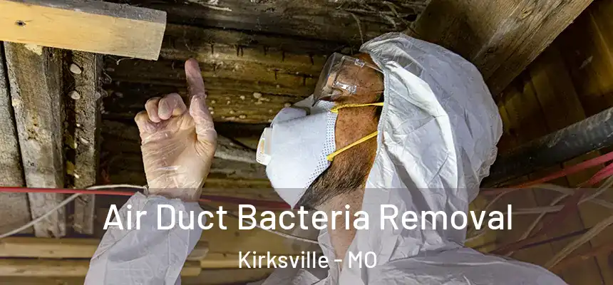  Air Duct Bacteria Removal Kirksville - MO