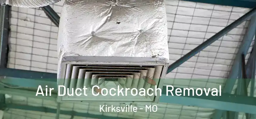  Air Duct Cockroach Removal Kirksville - MO