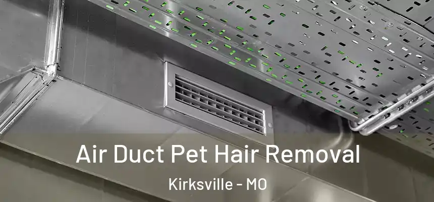  Air Duct Pet Hair Removal Kirksville - MO