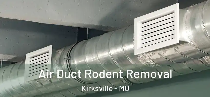  Air Duct Rodent Removal Kirksville - MO