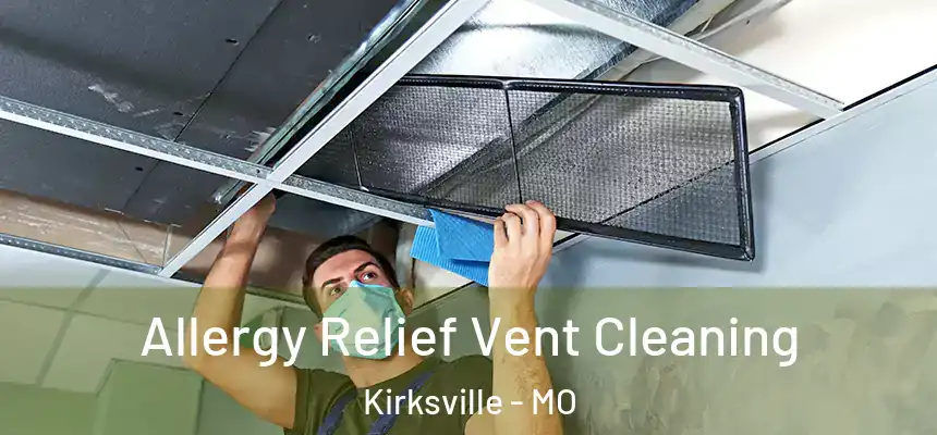  Allergy Relief Vent Cleaning Kirksville - MO