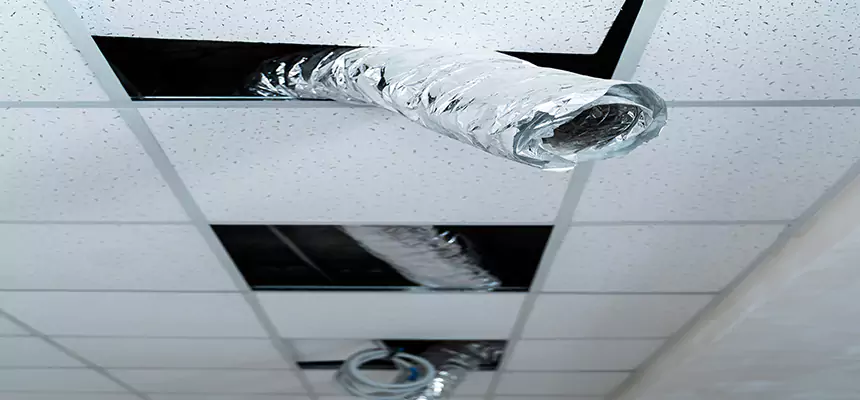 Affordable HVAC Sanitizing After Pest Removal in Kirksville