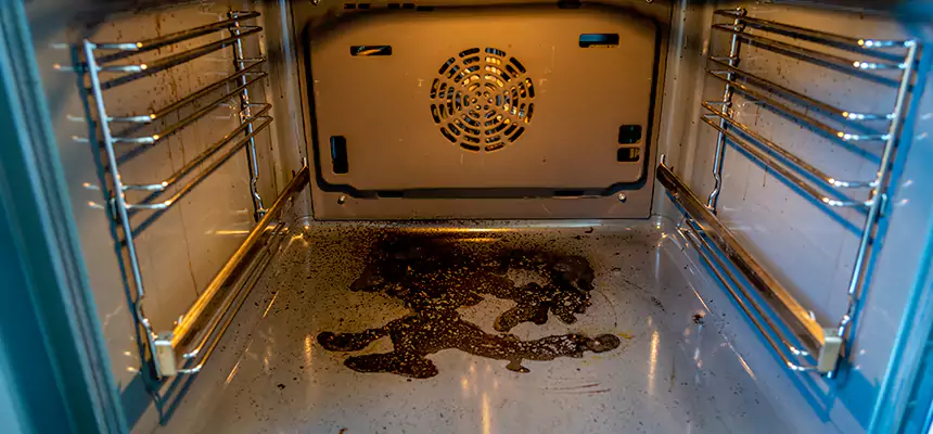 Our Dryer Vent Mold Cleaning Services in Kirksville, MO