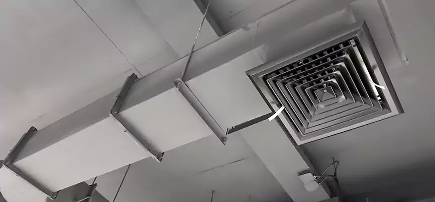 Our Pest Removal From Ducts Services in Kirksville, MO