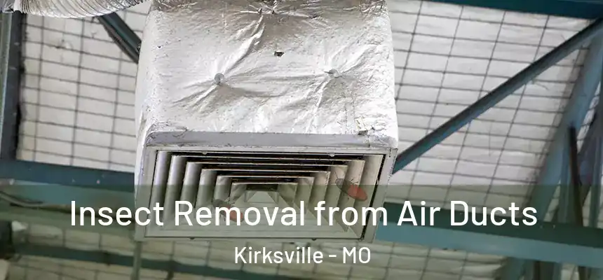  Insect Removal from Air Ducts Kirksville - MO