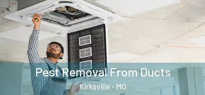  Pest Removal From Ducts Kirksville - MO