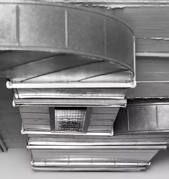 Professional Air Duct Pest Removal in Kirksville, MO