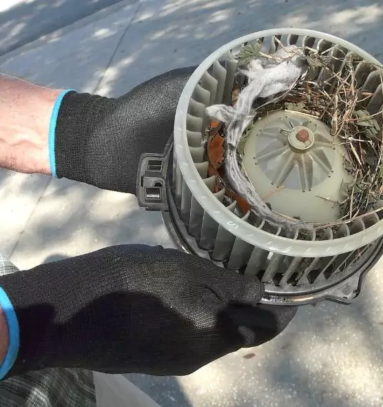 About Air Duct Rat Removal in Kirksville, MO