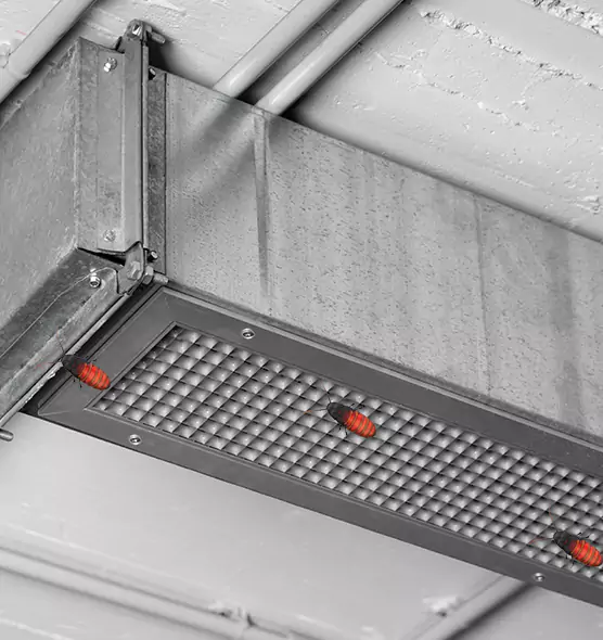 Affordable Insect Removal from Air Ducts in Kirksville, MO