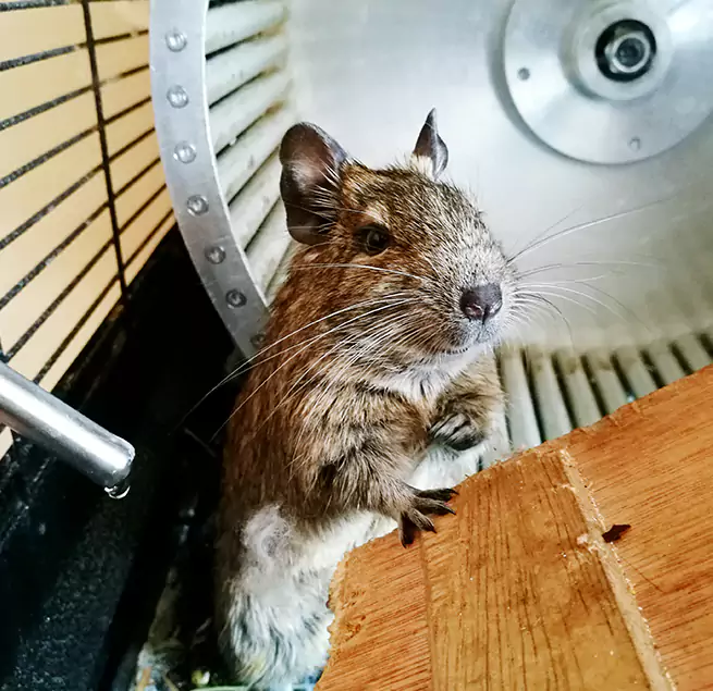 Why Homeowners & Businesses Trust Us Kirksville, MO?