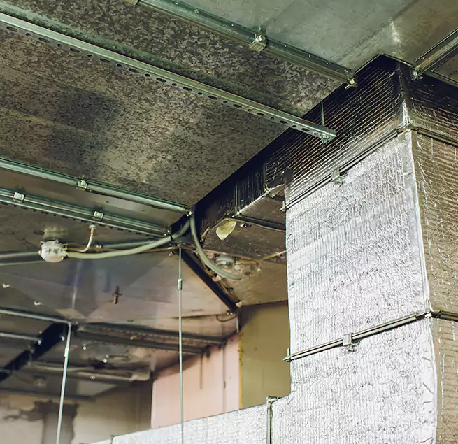 Why Homeowners & Businesses Trust Us in Kirksville, MO?